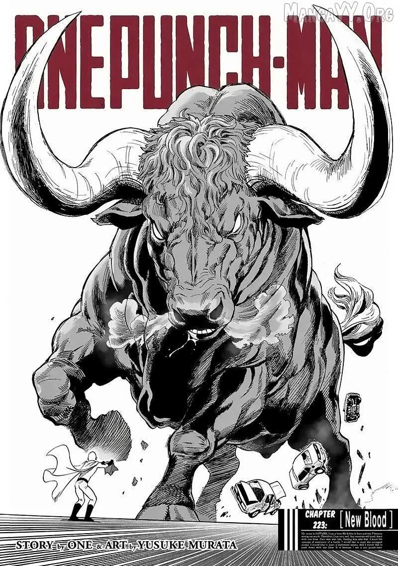 Read One Punch Man Manga Online