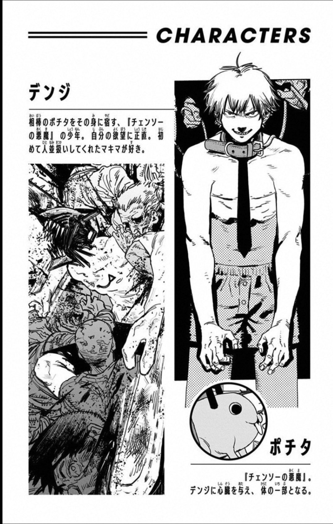 Read Chainsaw Man PT Manga Online